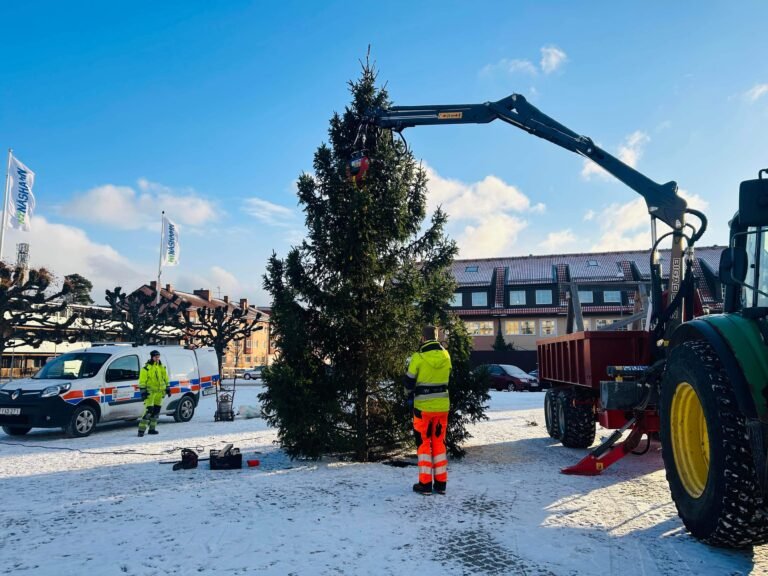 Vintermys börjar i Nynäshamn