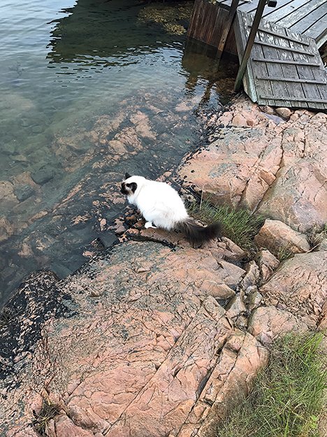 Din strand kan tillhöra grannen