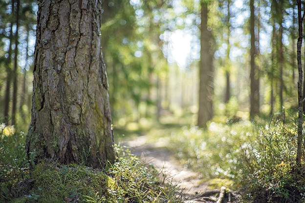 Byggplaner i Brunn kan stoppas