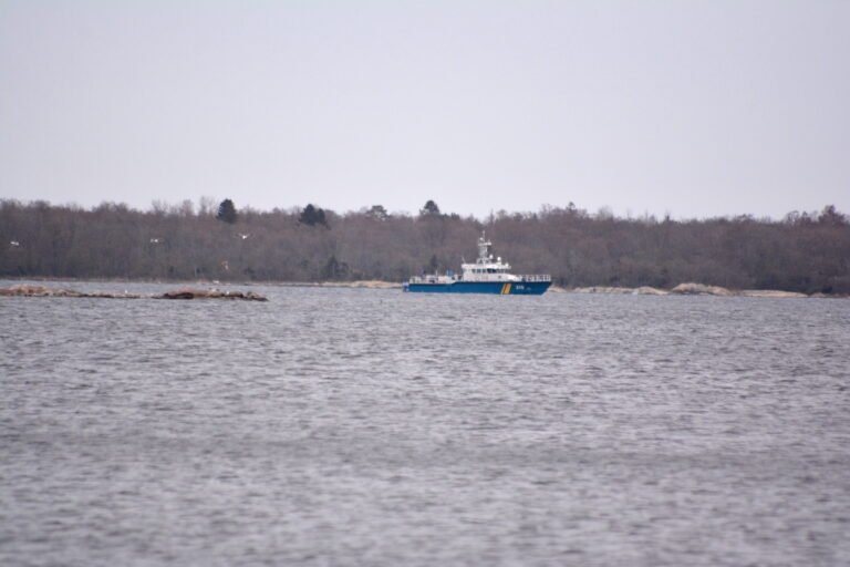 Inget åtal mot säljägare