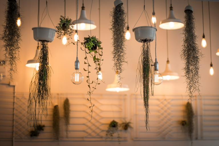 ANNONS: LED-växtbelysning – optimera din odling med rätt ljus