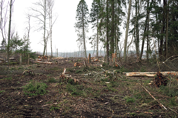 Naturreservat i Haninge skövlat