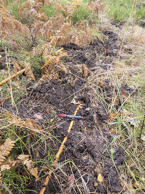 Fortsatt trassel med Ingmarsös fiber