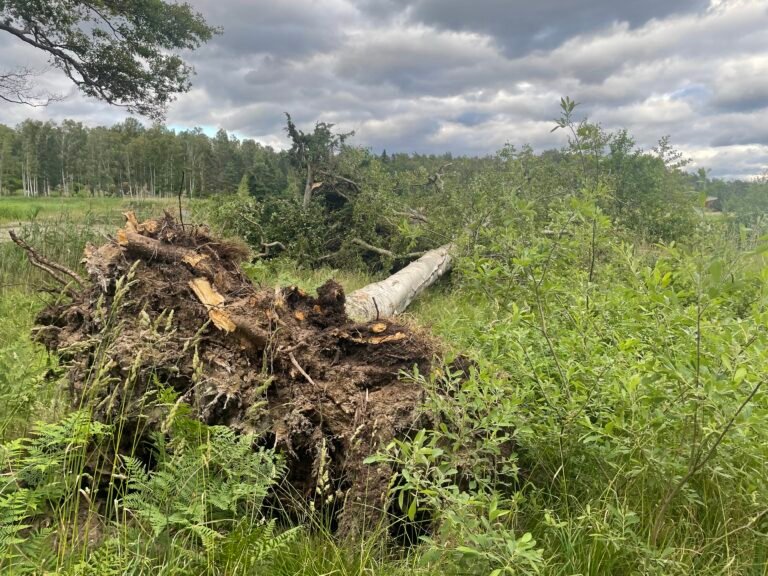 Skärgården drabbad av ovanlig sommarstorm