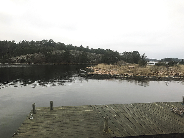 Vaxholm anlitade dömd handläggare